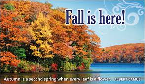 Image result for fall