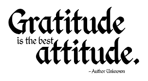 Image result for gratitude