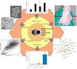 CD133EpCAM Cancer Stem Cell Markers of Tumour Stage in