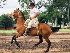 Résultat de recherche d'images pour "gaucho argentina"