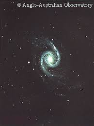 Image result for ngc 1566