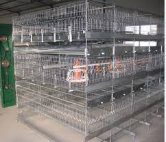 Image result for chicken cage