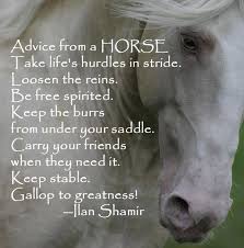 Horse Quotes and Sayings - Advice From A Horse via Relatably.com