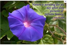 Breeze Me Nature Quotes on Pinterest | Nature Quotes, Nature and ... via Relatably.com