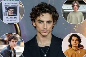 timothee chalamet