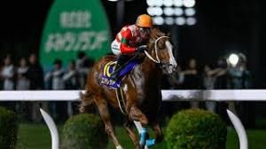 スポーツブル - News update