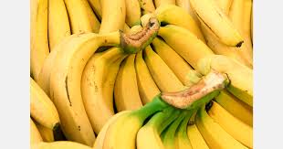 Shipping delays hit Indian banana exports