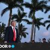 Imagem da notícia sobre A Madeira também tem um vídeo anti-Trump-observador de Observador