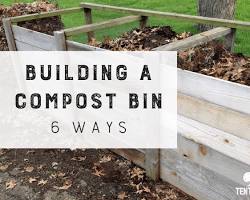 Image of home compost bin or a community garden compost setup