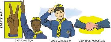 Image result for cub scout colors