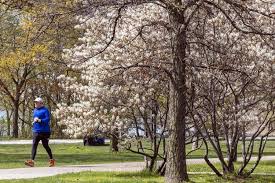 Old Farmer’s Almanac 2026 spring forecast for Ontario: Will we see April showers or snow?
