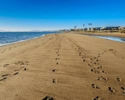 Image of Alameda Island Beach