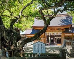 大山祇神社の画像