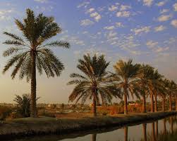 images?q=tbn:ANd9GcQOliO318anrOBARA_xUFsou0DLX_6qcLGIWHIkE4zNGVIU_086zA أسئلة بحجم الحزن المتجدّد لوطن خانته الأفراح
