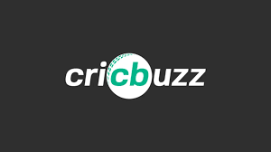 Sandeep Lamichhane Breaks Partnership in Nepal Oman Century Match