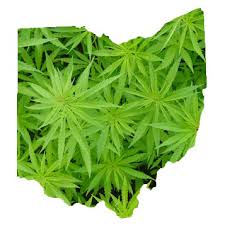 Resultado de imagen de Legalization