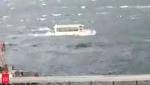 Passenger boat carrying Maharashtra Chief