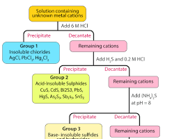 Image of flowchart for Group I Cations