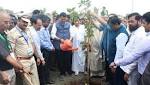 Govt. drive plant crore trees