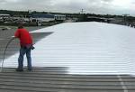 Spray on roofing