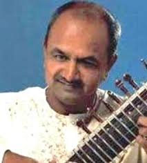 Musician Sanjay Deshpande urges money to be diverted for social issues instead of extravagant celebrations. Sanjay Deshpande - BEV_festival-ex_19_1589417e
