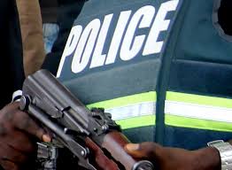 Image result for nigerian police