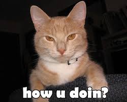 Image result for How are you meme