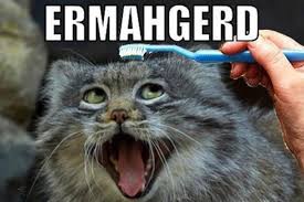 Résultat de recherche d'images pour "cat toothbrush gif"