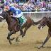 Effinex Rebounds To Repeat In Suburban Handicap