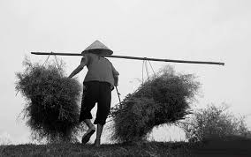 Ảnh trên mạng