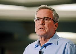 Image result for jeb bush