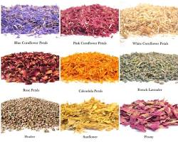 Imagine cu Different types of confetti