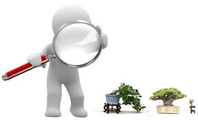 Resultado de imagen para buscar en la web