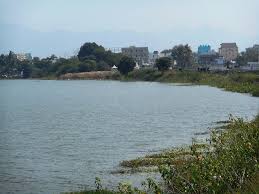 Picture of Kanchikacherla