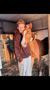 Was kommst du uns besuchen? #pony #horsegirl #horsesoftiktok ...