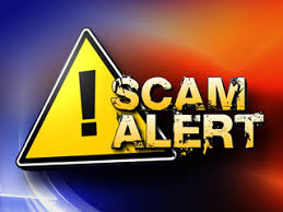 Image result for scam