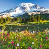 Mount Rainier