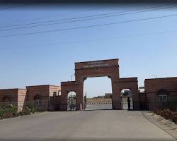 Image of Private practice of Dr. Sarvepalli Radhakrishnan Rajasthan Ayurved University