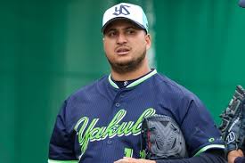 キハダ ヤクルト