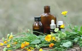Resultado de imagen para imagenes de las flores de bach