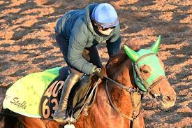 News source: Yahoo!ニュース