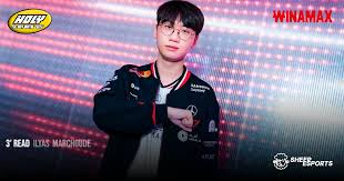 Sheep Esports - News update