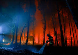 Trend Google: grave incendio