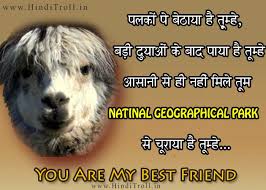 FUNNY HINDI COMMENTS/QUOTES WALLPAPER ON FRIENDSHIP - Hindi ... via Relatably.com