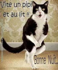 Résultat de recherche d'images pour "bonne soirée humour"