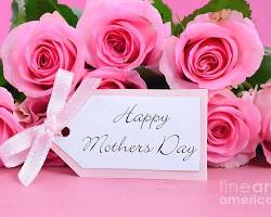 Pink roses for Mother's Day