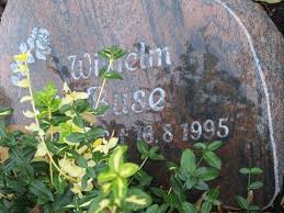 Grab von Wilhelm Buse (-16.08.1995), Friedhof Warsingsfehn-