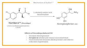 Image result for DROXIDOPA