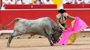 diariodenavarra.es - News update