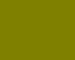 Image of Olive Green color